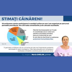 Vă mulțumim pentru participare în sondajul online