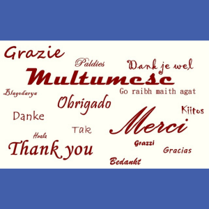 Ziua Internațională a cuvântului „Mulțumesc”