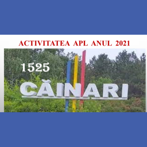 Raport de activitate pentru anul 2021