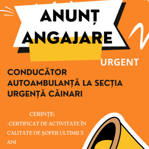 Anunț angajare