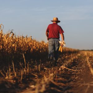 🌾 Anunț important pentru Fermierii din orașul Căinari 🚜