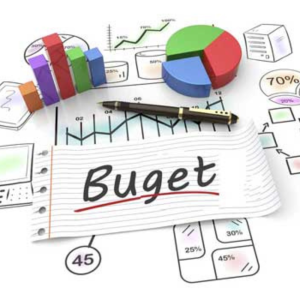 Prociectul bugetului pentru anul 2025