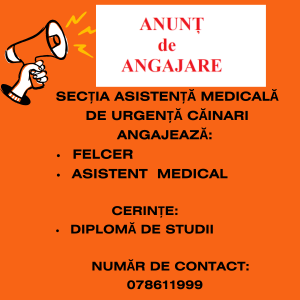 ANUNȚ de ANGAJARE