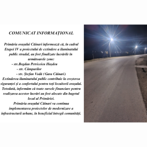 Comunicat informațional